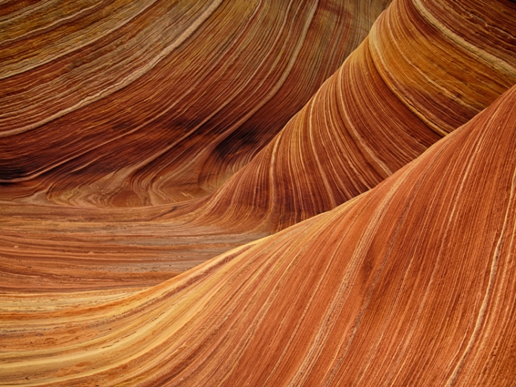 curves-in-the-orange-sand-and-rock-800-600